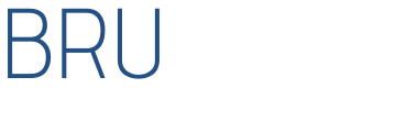 Brupedia - logo blanc NL